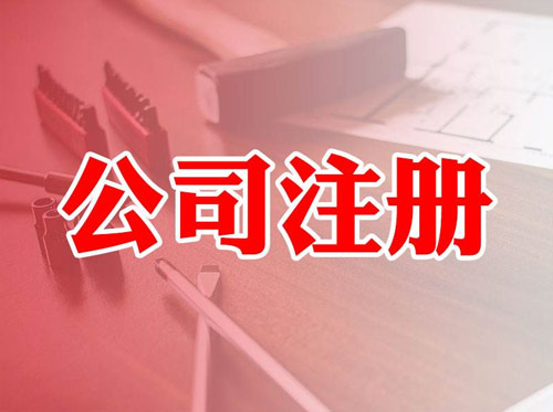 注册公司股东类型和为什么要代理记账以及不进行代理记账的后果