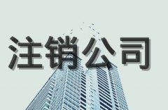 注销公司为什么既麻烦又贵？国家局核名的好处？法人要具备哪些条件？